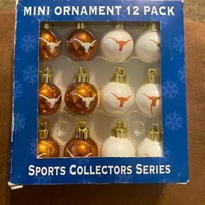 Texas long horn ornament’s